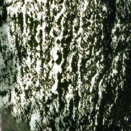 Satellite imagery of Tagish Highland, CA