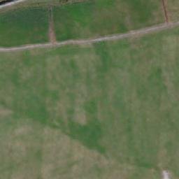 Satellite imagery of Türsamäe Neem, EE