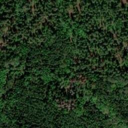 Satellite imagery of survey_point, SE
