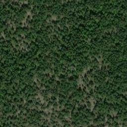 Satellite imagery of survey_point, SE