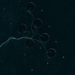 Satellite imagery of søra Perskjerne, NO