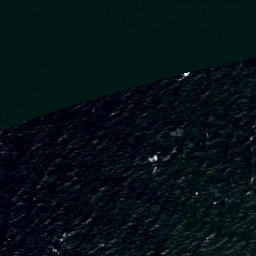 Satellite imagery of Pakri Neem, EE