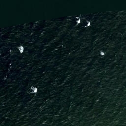 Satellite imagery of Pakri Neem, EE