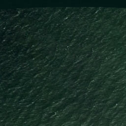 Satellite imagery of Pakri Neem, EE