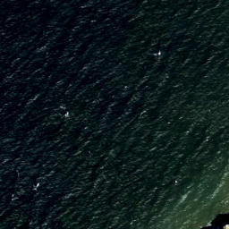 Satellite imagery of Pakri Neem, EE
