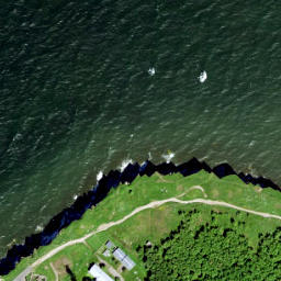 Satellite imagery of Pakri Neem, EE
