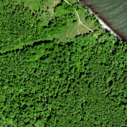 Satellite imagery of Pakri Neem, EE