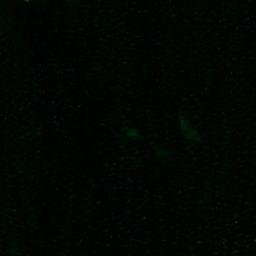 Satellite imagery of Bastulunsen, SE