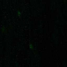 Satellite imagery of Vitkobb, SE