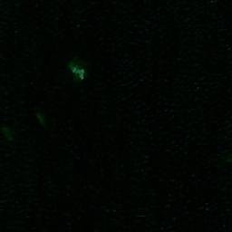 Satellite imagery of Bastulunsen, SE