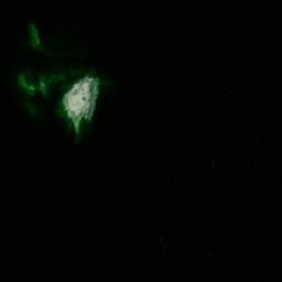 Satellite imagery of Skötskär, SE