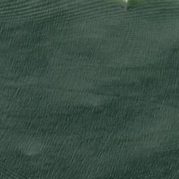 Satellite imagery of survey_point, SE