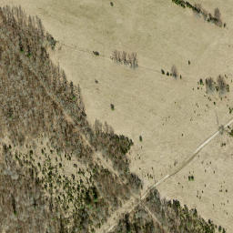 Satellite imagery of survey_point, EE