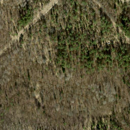 Satellite imagery of survey_point, EE
