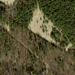 Satellite imagery of survey_point, EE