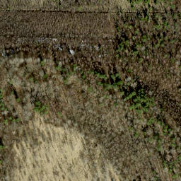 Satellite imagery of survey_point, EE