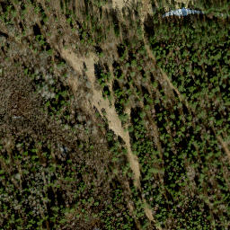 Satellite imagery of survey_point, EE
