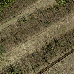 Satellite imagery of survey_point, NO