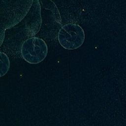 Satellite imagery of Apalvigneset, NO