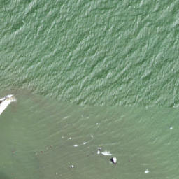 Satellite imagery of Toomanina, EE