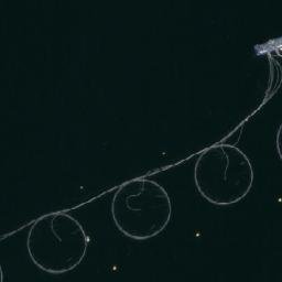 Satellite imagery of Øksneset, NO