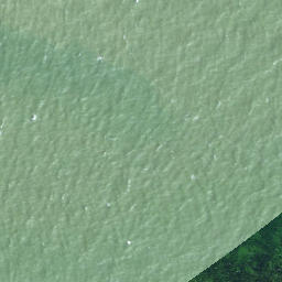 Satellite imagery of Dirhami Neem, EE