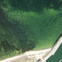 Satellite imagery of Dirhami Neem, EE