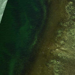 Satellite imagery of Dirhami Neem, EE