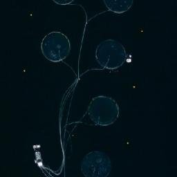 Satellite imagery of Sandvikskjeret, NO
