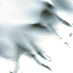 Satellite imagery of Mount Eliza, CA