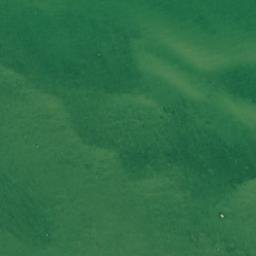 Satellite imagery of Tellisna Neem, EE