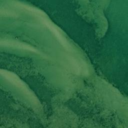 Satellite imagery of Tellisna Neem, EE