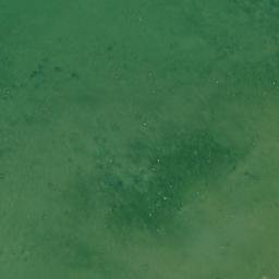 Satellite imagery of Tellisna Neem, EE