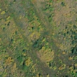 Satellite imagery of Stikine Ranges, CA