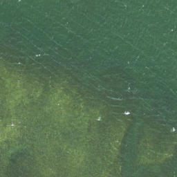 Satellite imagery of Pikkrahu, EE