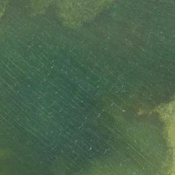 Satellite imagery of Pikkrahu, EE