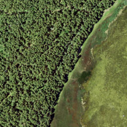 Satellite imagery of Serots Point, EE