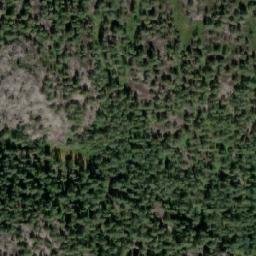 Satellite imagery of Bjørkedalsskotet, NO