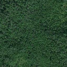 Satellite imagery of Point Sherman, US