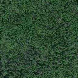 Satellite imagery of Point Sherman, US