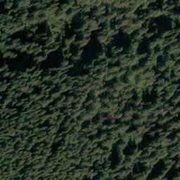 Satellite imagery of Muir Point, US