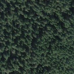Satellite imagery of Tlingit Point, US