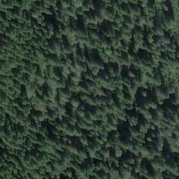 Satellite imagery of Tlingit Point, US