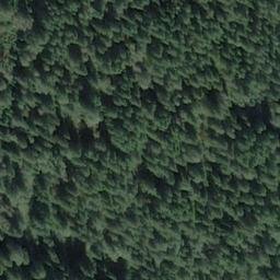 Satellite imagery of Tlingit Point, US