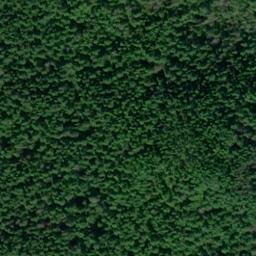 Satellite imagery of Lance Point, US