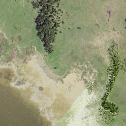 Satellite imagery of Pikanina, EE