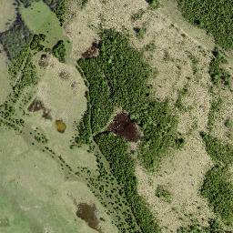Satellite imagery of Pikanina, EE