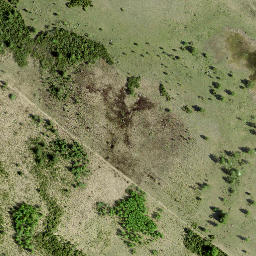 Satellite imagery of Pikanina, EE