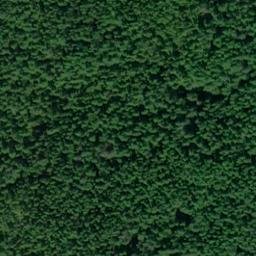 Satellite imagery of Lance Point, US