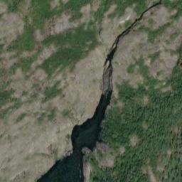 Satellite imagery of Yellow Bluff, CA